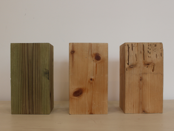 つなぐ家は、あなたの想いを一緒につなぎます